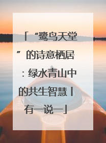 “鹭鸟天堂”的诗意栖居：绿水青山中的共生智慧丨有一说一