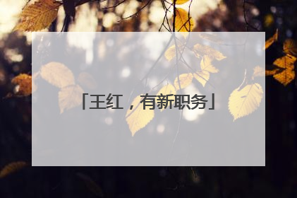 王红，有新职务
