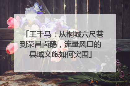王千马：从桐城六尺巷到荣昌卤鹅，流量风口的县域文旅如何突围