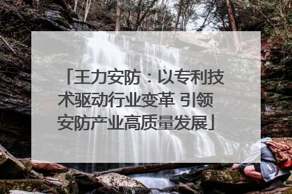 王力安防：以专利技术驱动行业变革 引领安防产业高质量发展