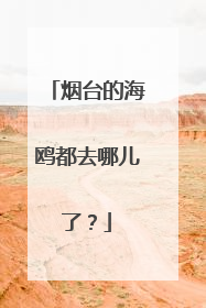 烟台的海鸥都去哪儿了？