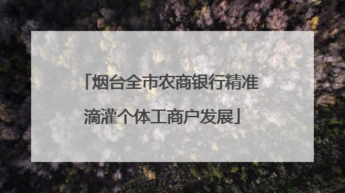 烟台全市农商银行精准滴灌个体工商户发展