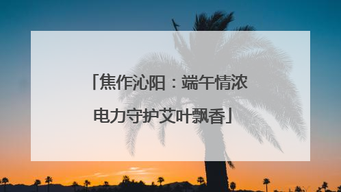 焦作沁阳：端午情浓 电力守护艾叶飘香
