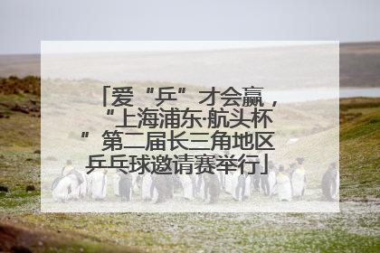 爱“乒”才会赢，“上海浦东·航头杯”第二届长三角地区乒乓球邀请赛举行