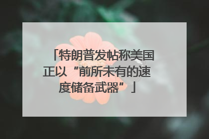 特朗普发帖称美国正以“前所未有的速度储备武器”
