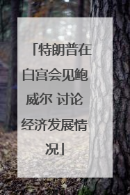 特朗普在白宫会见鲍威尔 讨论经济发展情况