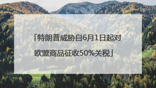特朗普威胁自6月1日起对欧盟商品征收50%关税
