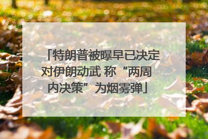 特朗普被曝早已决定对伊朗动武 称“两周内决策”为烟雾弹