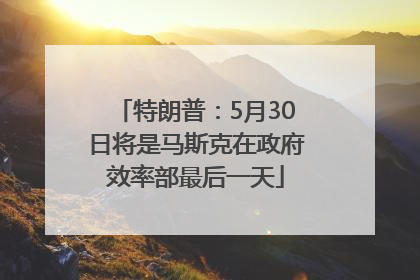 特朗普：5月30日将是马斯克在政府效率部最后一天