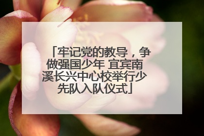 牢记党的教导，争做强国少年 宜宾南溪长兴中心校举行少先队入队仪式