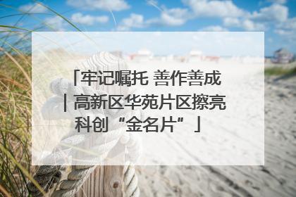 牢记嘱托 善作善成｜高新区华苑片区擦亮科创“金名片”