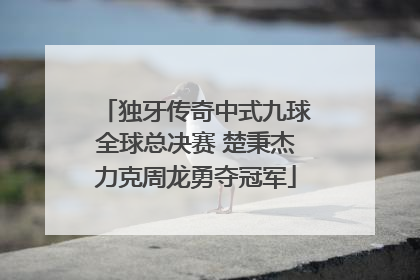 独牙传奇中式九球全球总决赛 楚秉杰力克周龙勇夺冠军