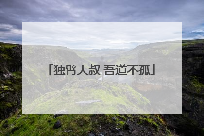 独臂大叔 吾道不孤