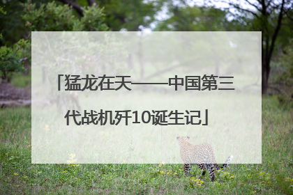 猛龙在天——中国第三代战机歼10诞生记