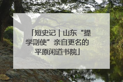 短史记｜山东“提学副使”亲自更名的平原闲道书院