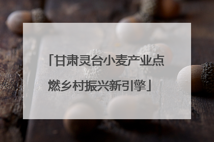 甘肃灵台小麦产业点燃乡村振兴新引擎