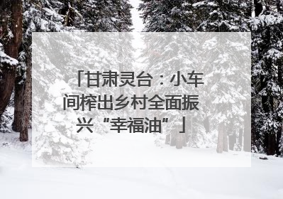 甘肃灵台：小车间榨出乡村全面振兴“幸福油”
