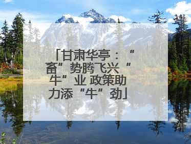 甘肃华亭：“畜”势腾飞兴“牛”业 政策助力添“牛”劲
