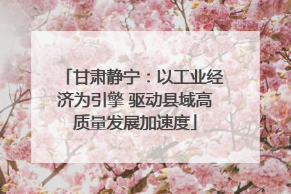 甘肃静宁：以工业经济为引擎 驱动县域高质量发展加速度