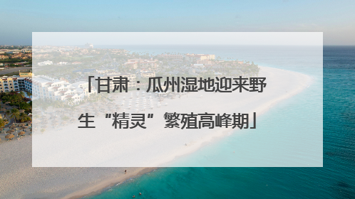 甘肃：瓜州湿地迎来野生“精灵”繁殖高峰期