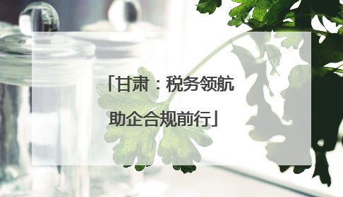 甘肃：税务领航 助企合规前行