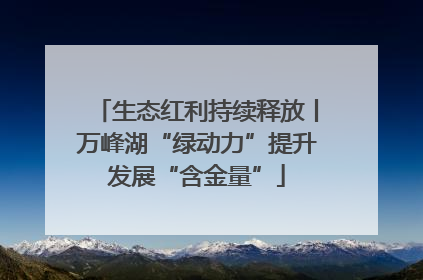 生态红利持续释放丨万峰湖“绿动力”提升发展“含金量”