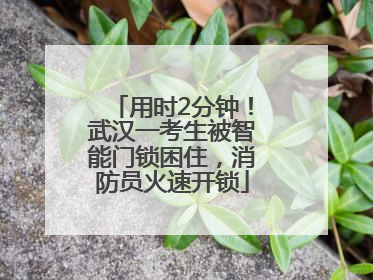 用时2分钟！武汉一考生被智能门锁困住，消防员火速开锁