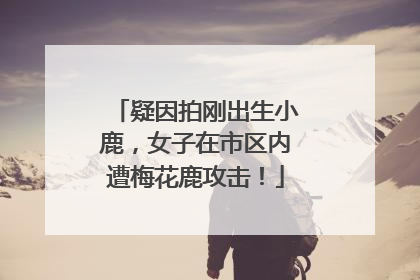 疑因拍刚出生小鹿，女子在市区内遭梅花鹿攻击！