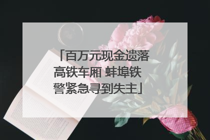 百万元现金遗落高铁车厢 蚌埠铁警紧急寻到失主