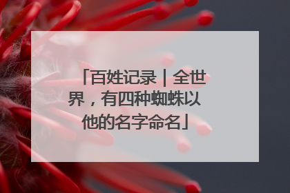 百姓记录｜全世界，有四种蜘蛛以他的名字命名