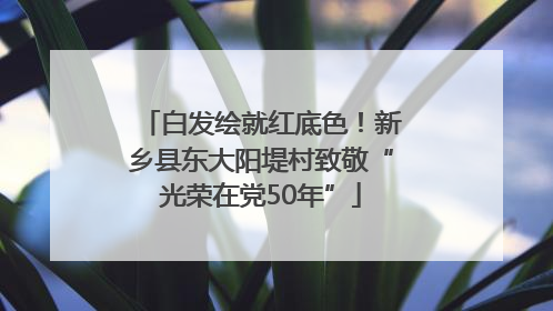 白发绘就红底色！新乡县东大阳堤村致敬“光荣在党50年”
