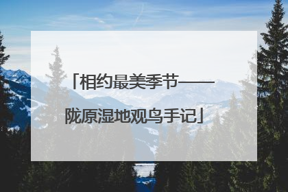 相约最美季节——陇原湿地观鸟手记