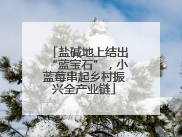 盐碱地上结出“蓝宝石”，小蓝莓串起乡村振兴全产业链