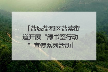 盐城盐都区盐渎街道开展“绿书签行动”宣传系列活动