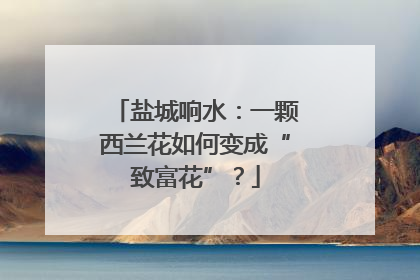 盐城响水：一颗西兰花如何变成“致富花”？