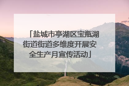 盐城市亭湖区宝瓶湖街道街道多维度开展安全生产月宣传活动