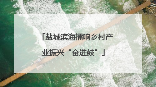 盐城滨海擂响乡村产业振兴“奋进鼓”