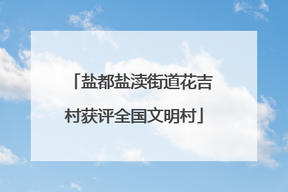盐都盐渎街道花吉村获评全国文明村