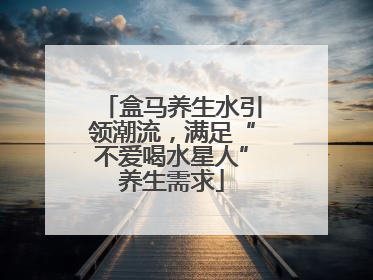 盒马养生水引领潮流，满足“不爱喝水星人”养生需求