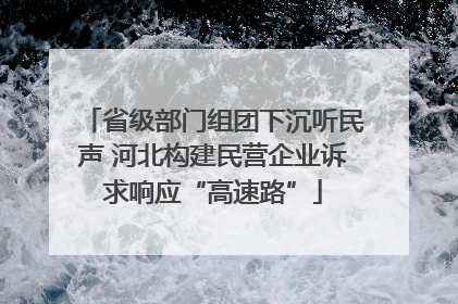 省级部门组团下沉听民声 河北构建民营企业诉求响应“高速路”