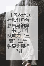 省农信联社派驻鱼台县唐马镇第一书记工作队助力“三夏”生产 彰显为民担当