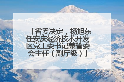省委决定，杨旭东任安庆经济技术开发区党工委书记兼管委会主任（副厅级）