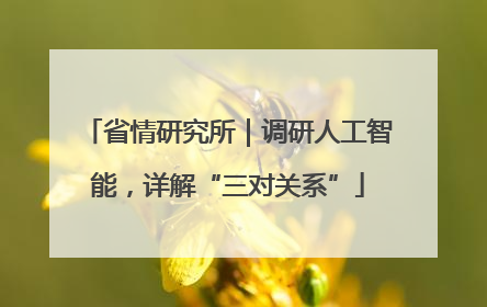 省情研究所｜调研人工智能，详解“三对关系”