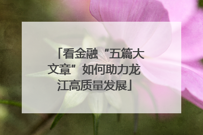 看金融“五篇大文章”如何助力龙江高质量发展