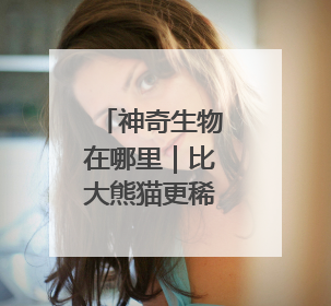 神奇生物在哪里｜比大熊猫更稀少！湖南新宁成功救护濒危鸟类海南鳽