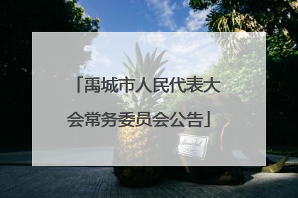 禹城市人民代表大会常务委员会公告