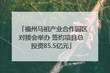 福州马祖产业合作园区对接会举办 签约项目总投资85.5亿元