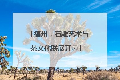 福州：石雕艺术与茶文化联展开幕
