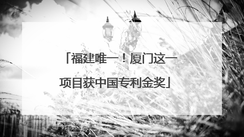 福建唯一！厦门这一项目获中国专利金奖