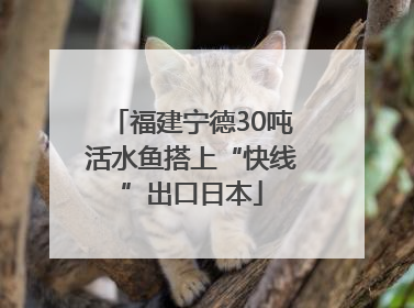 福建宁德30吨活水鱼搭上“快线”出口日本